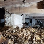Pier and Beam