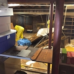 Mold Removal process