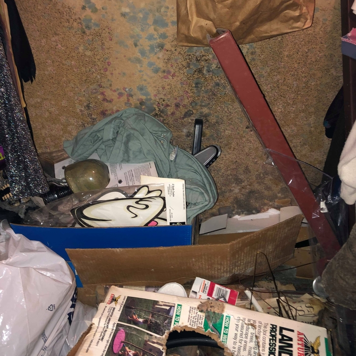 Mold removal Process
