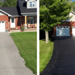 blacktop seals