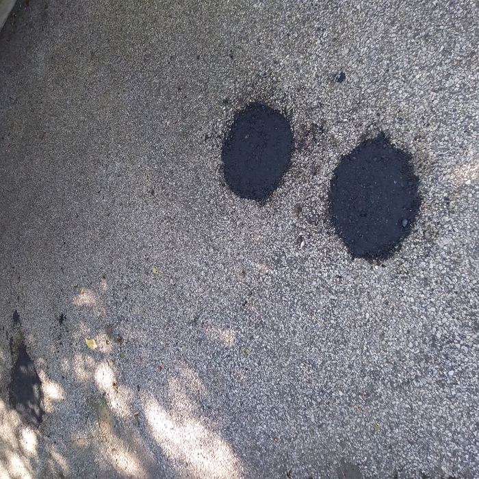 blacktop seals