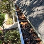 Gutter cleaning.