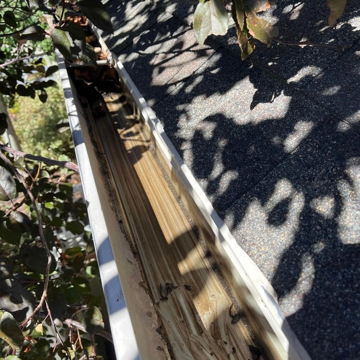 Gutter cleaning.
