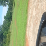 Lawn hydroseeding