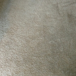 After Pet Stain Treatment