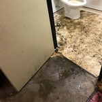 Emergency bathroom cleaning