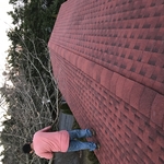 New Shingle