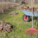 General clean up