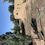 Firewise