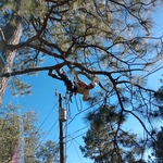 Just hanging out