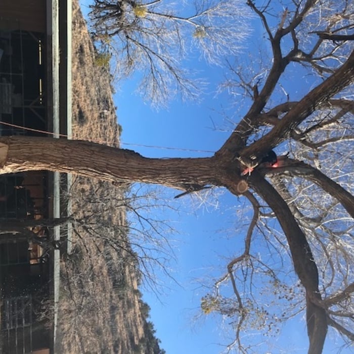 Cottonwood Trim