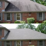 Grey Roof
