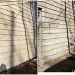 before & after