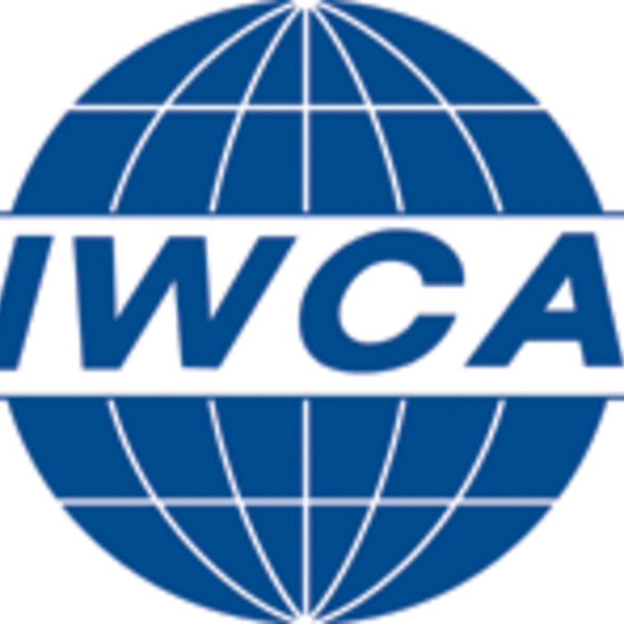 Member International Window Cleaning Association