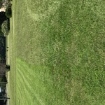 Lawn care