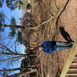 Tree removal