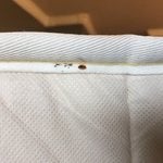 Pest Services
