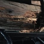 Termite support joist damage
