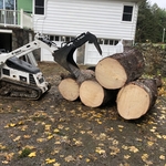 Spruce