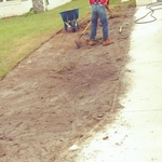 Cutting Out the Bad Sod