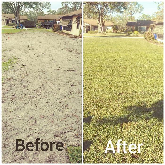 Before and After- Floratam Sod