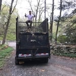 Brush removal/ storm clean up