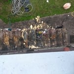 Our Work