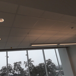 ceiling grid