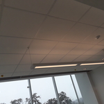 acoustical ceiling
