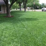 4 Step Fertilizer Program