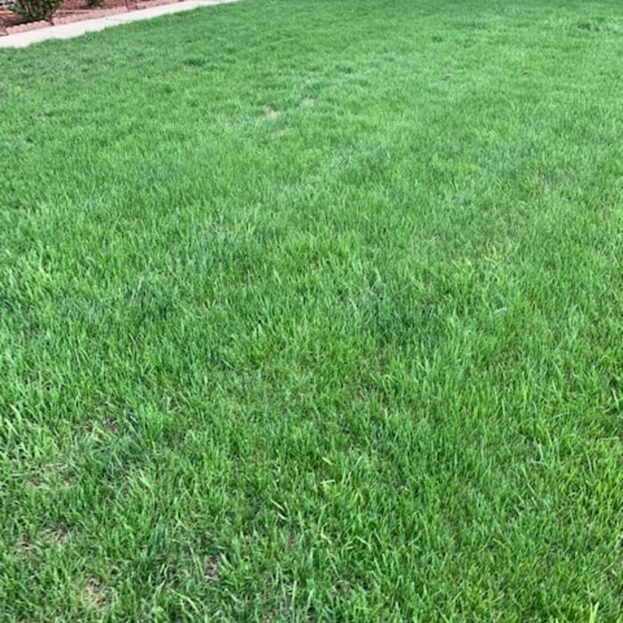 4 Step Lawn Program