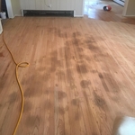 Our Work