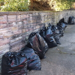 Property Clean-Out 2019