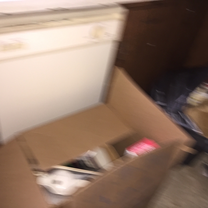 2 Blueberry 2019 Clear-out