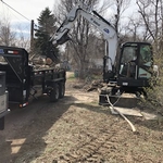 Tree Removal