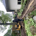 Hardscaping/construction