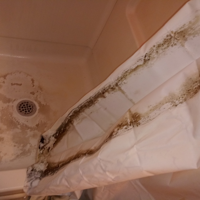 Curtain Shower stain removed