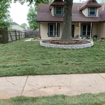 After lawn renovation
