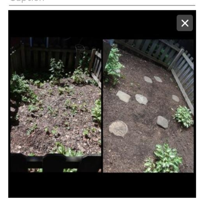 garden clean up
