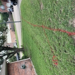 Marking the design on the ground