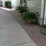Poured driveway!