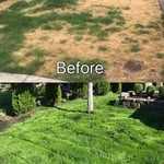 Re seed