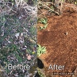 Clean up re bark