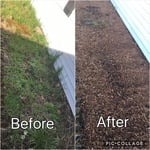 Weeding and new bark