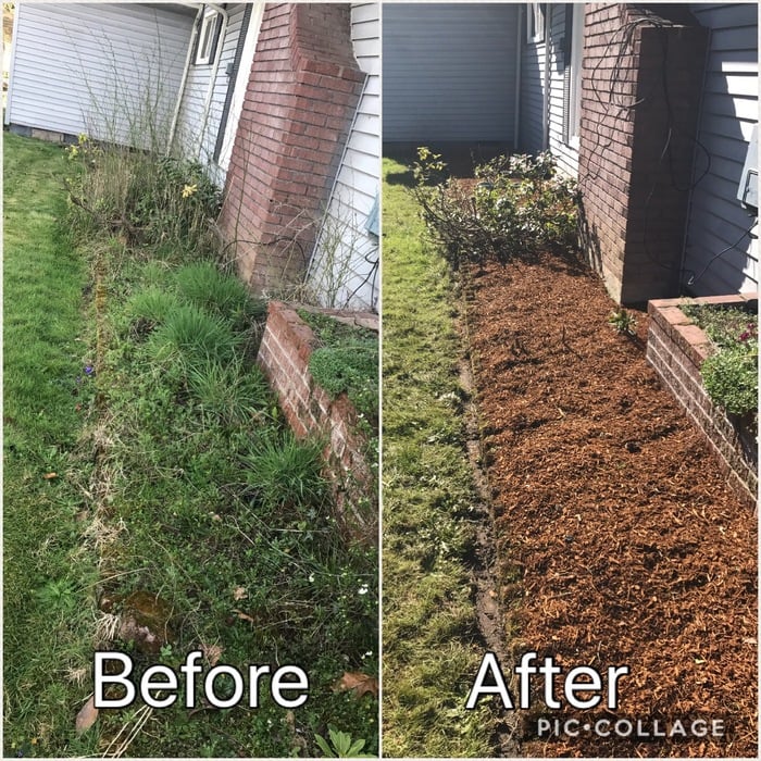 Weeding/ new bark