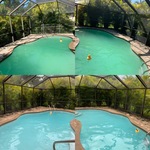 Green Pool Clean Up