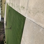 Yards that we mow weekly.