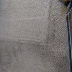 carpet clean