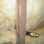 Wood Rot