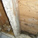 Mold